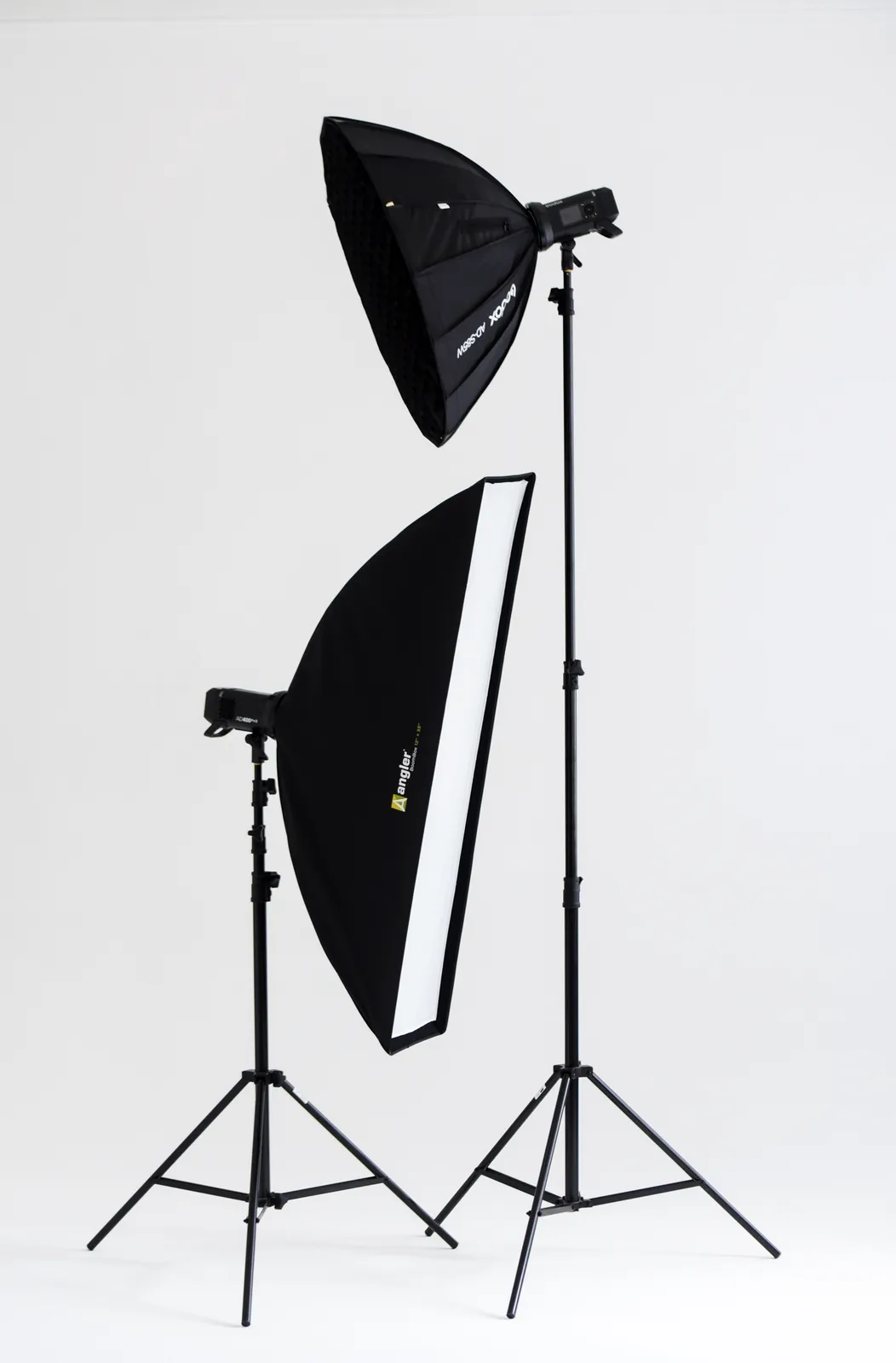 Inside the Pavilioni photography studio