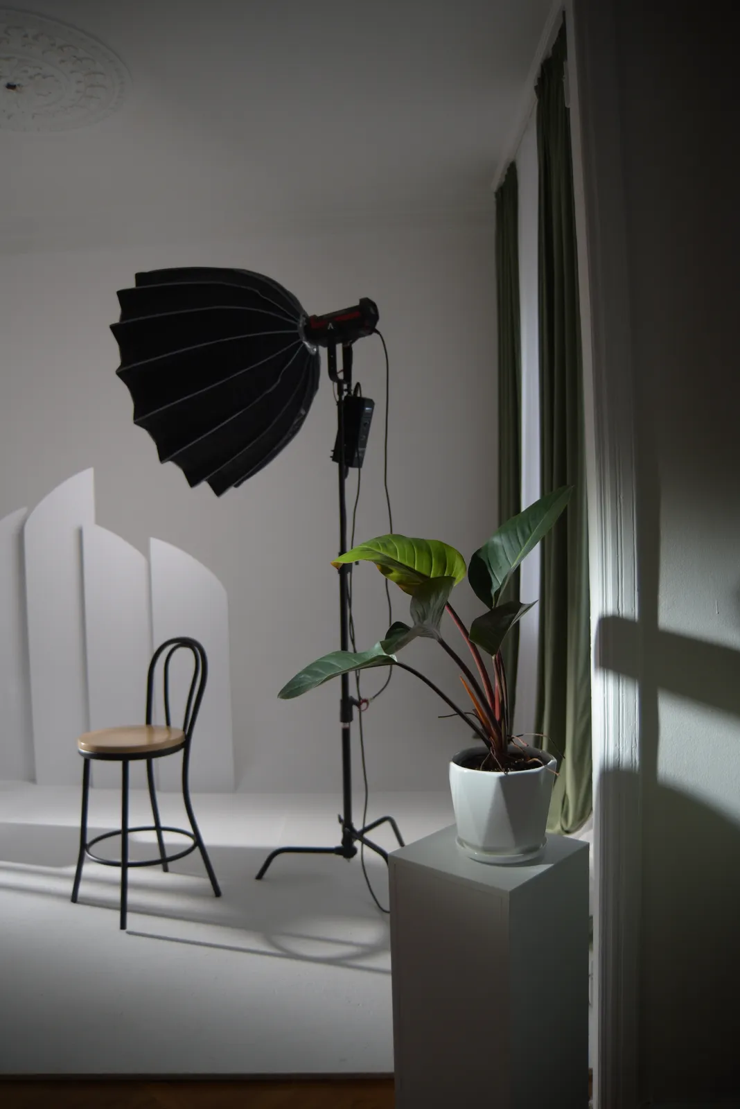 Inside the Pavilioni photography studio
